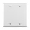 WH 2G BLANK WALLPLATE