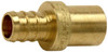 Barbed PEX Pipe Sweat Adapter, Brass, 1/2 In. Barb Insert x 1/2 In. MPT