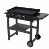 Performance 2-Burner LP Gas Griddle, With Cart, 28 In.