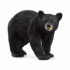 American Black Bear (5 pieces)