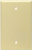 IV BLANK WALL PLATE