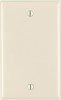 1G ALM BLANK WALLPLATE