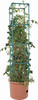 Tomato Barrel & Tower