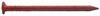 Aluminum Trim Nails, Brown, 1-1/4 In., 1/4 Lb. Box