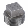 1-1/2 In. Black Pipe Plug