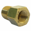 1/4 In. Female Flare x 1/4 In. MPT  Brass Adapter