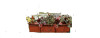 Flower Box Holder, Black (12 pieces)