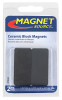 Ceramic Block Magnets, 2-Pk.