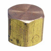 1/4 In. FPT Brass Cap, Lead Free