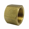 Pipe Fitting, Brass Pipe Cap, Lead Free, 1/2 In. FPT