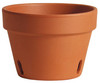 Orchid Pot, Terra Cotta Clay, 8-In. (12 pieces)