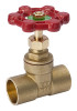 Gate Valve, Brass, 3/4 In.