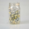 100 WW/GRN Seed Lights