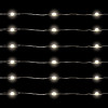 100 WW/Slv Seed Lights