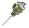 T & P Valve, 4 In. Probe, 1/2 In. IO