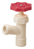 CPVC Boiler Drain, 1/2 In. (5/8 In. Outer Diameter)