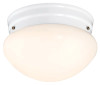LED Light, Flush Mount, White/White Lens, 750 Lumens, 10-Watt, 7-1/4-In.