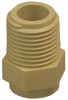 CPVC Pipe Adapter, 1/2 In. MPT
