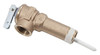 T & P Valve, 2.5 In.