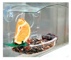 Mixed Treat Window Feeder (4 pieces)