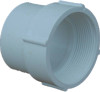 PVC Female Adapter Sewer & Drain, 6 In.
