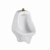 Allbrook White Wall Urinal (Fixture Only)