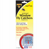 Window Fly Catcher, 4-Pk.