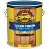 Wood Toned Deck & Siding Stain, Natural, 1-Gallon