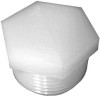 Nylon Hex Head Pipe Plug, 1/4 In. MPT (10 pieces)
