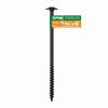 5/16" x 6" Exterior Washer Head Structural Wood Lag Screws  Powerlags Torx T-Star (1 EA)