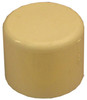 CPVC Pipe Cap, Beige, 1 In.
