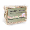 50g Premium Natural Sphagnum Moss Bag