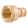 PEXA Brass Expansion Adapter, 1/2 PEXA x 1/2 In. FNPT