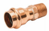 Copper Pipe Adapter, 1/2 x 3/4 In. Press by Male