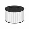 Purify 9 True HEPA Carbon Filter Air Purifier Cartridge