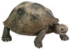Turtle Toy Animal Figure, Ages 3 & Up (5 pieces)