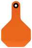 All American Livestock Tag, Blank, Medium, Orange, 25-Pk.