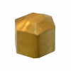 Cap, Brass, Compression, 3/8 In.