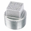 1 In. Galvanized Pipe Plug