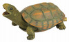 Turtle Pond Spitter & Aerator, Resin