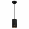 Phelps Indoor Mini Pendant Light Fixture, Matte Black, Perforated Metal Shade