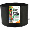 Pepper & Vegetable Container Garden, Black Fabric, 10-Gallons