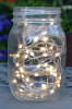 Big Seed Micro String Lights, 100 Warm White Lights, Battery Operated