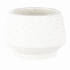 2" WHT Tapered Pot