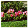 Lawn Edging, Black, 60 Ft.