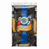 Black Oil Sunflower Seed Wild Bird Food, 20 Lb. Bag