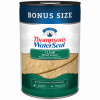 Wood Protector, Clear, 6-Gallons