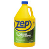 Extractor Carpet Shampoo, 1 Gallon Concentrate