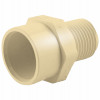 CPVC Reduce MIP Adapter, 3/4 x 1/2 In.