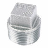 1/4 In. Galvanized Pipe Plug